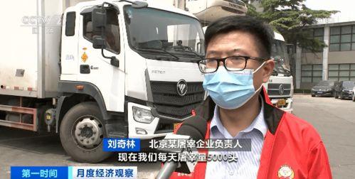 《19》在线观看,揭秘历史风云，探寻时代印记  第1张