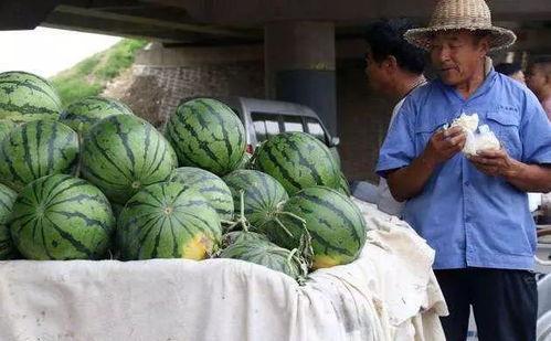 吴川网红吃瓜事件,网络舆论的风暴与反思  第3张