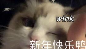 猫之城最新爆料视频大全,最新爆料视频大盘点 第1张 猫之城最新爆料视频大全,最新爆料视频大盘点 第1张